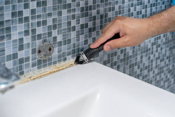 Best Commercial Mold Removal  in Homewood, IL