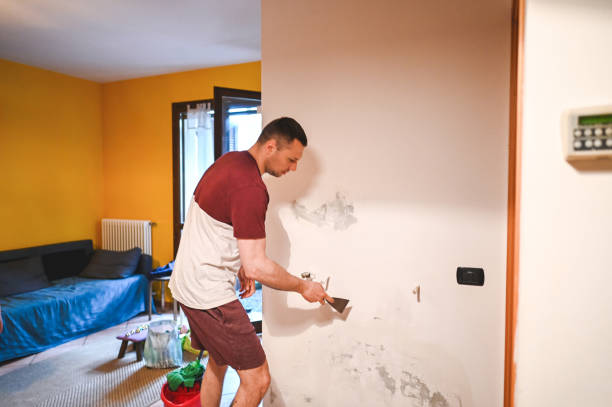 Best Mold Testing  in Homewood, IL